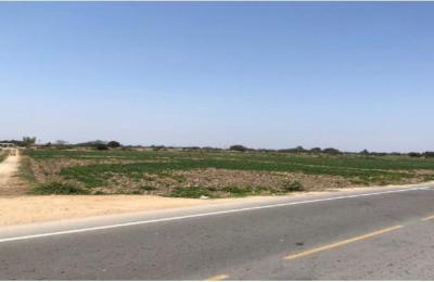 VENTA DE AMPLIO TERRENO EN LAMBAYEQUE